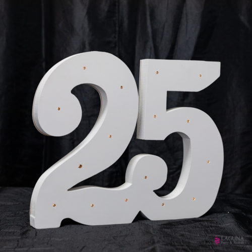 25 Number Decor, Lighted