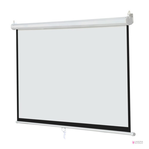 Projector Screen, Small