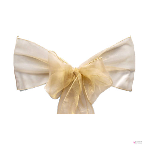 Organza Sash, Champagne (set of 10)