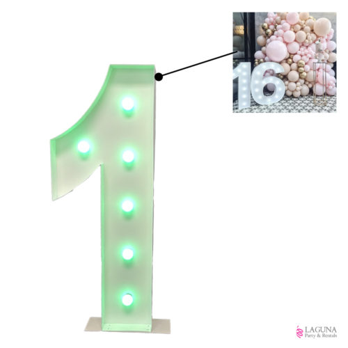 1 Marquee Light Up LED Number, 46" tall