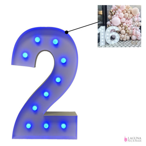 2 Marquee Light Up LED Number, 46" tall