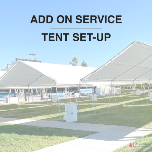 Tent, Setup